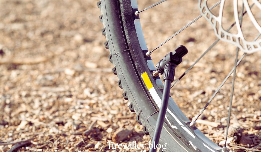 Deflate a Bike Tire with a Schrader Valve
